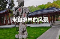文章配图